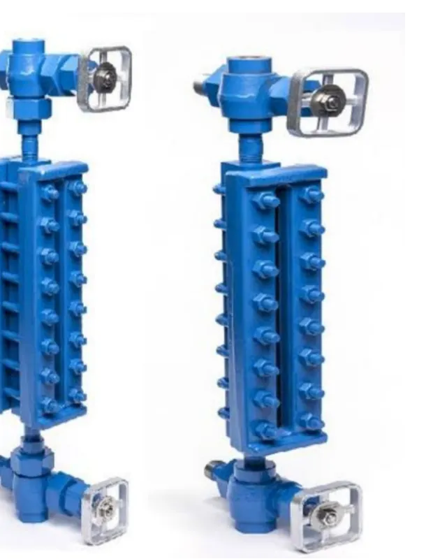 Reflex Type Level Gauge with Isolation Valves In Delhi