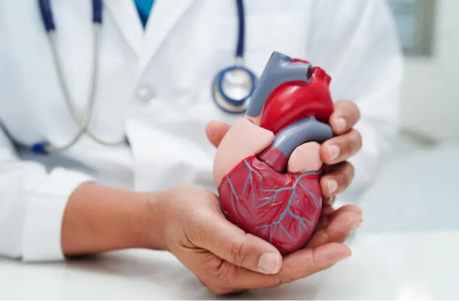 Cardiologist in Pune: Heart Disease Prevention and Care