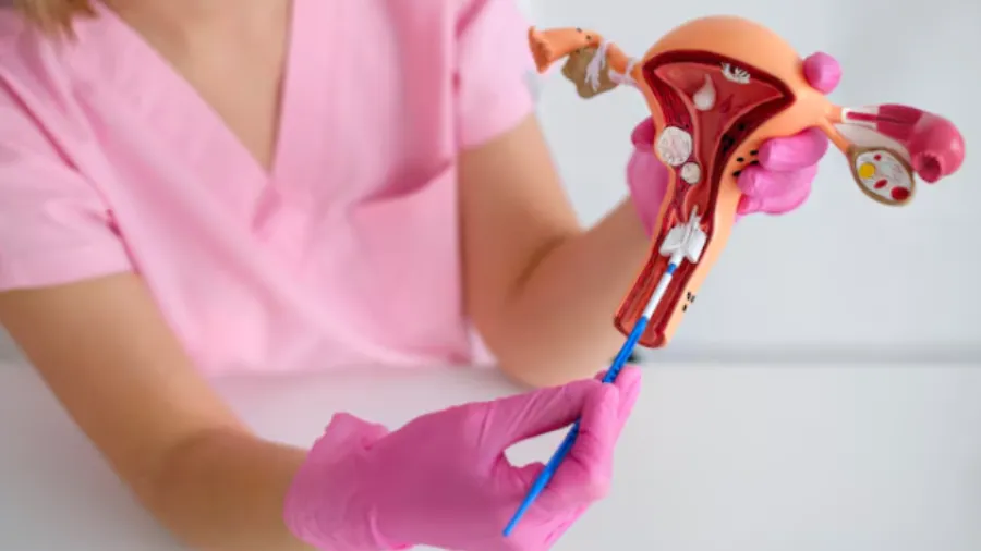 Pap smear in Lalbaug: preventive screening for long-term cervical health