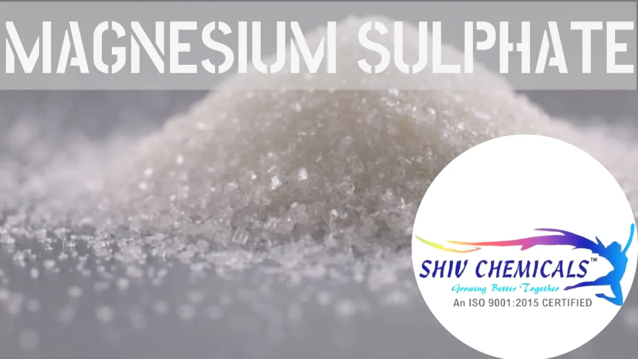 Magnesium Sulphate Supplier in Surat