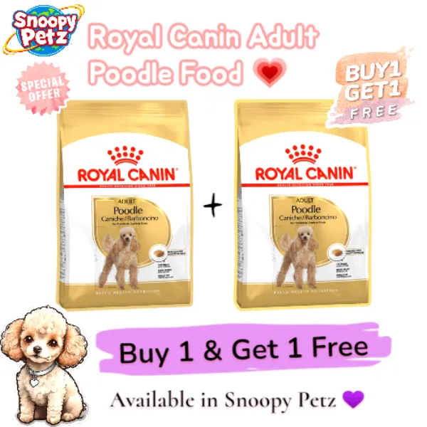 Royal Canin Adult Poodle Dog Food at Dahisar, Mumbai -- Supports healthy curly coat and skin