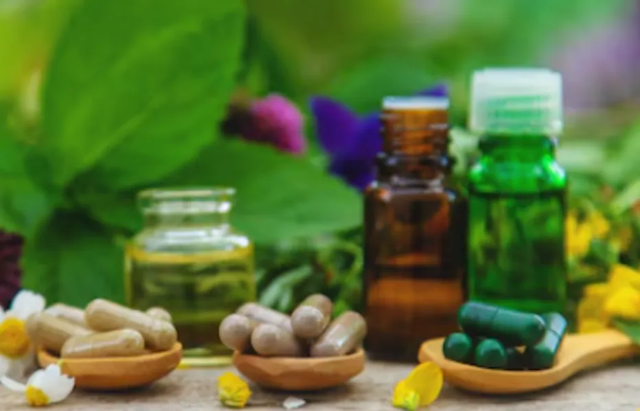 Ayurvedic PCD Pharma Franchise Company in Chandigarh – Meeting the Demand for Natural Care