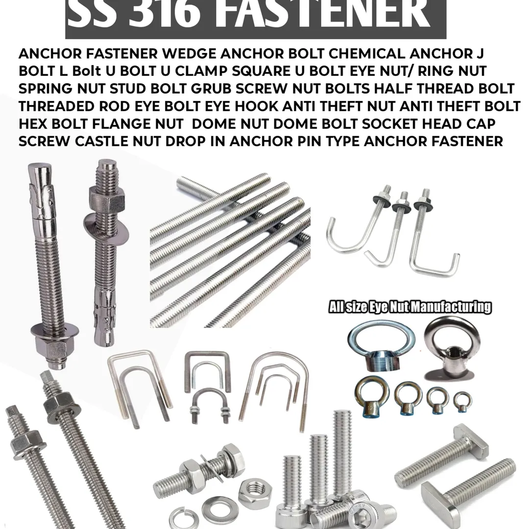 SS 316 Anchor Fastener Manufacturer & Supplier | Stainless Steel 316 Anchor Fasteners Exporter India