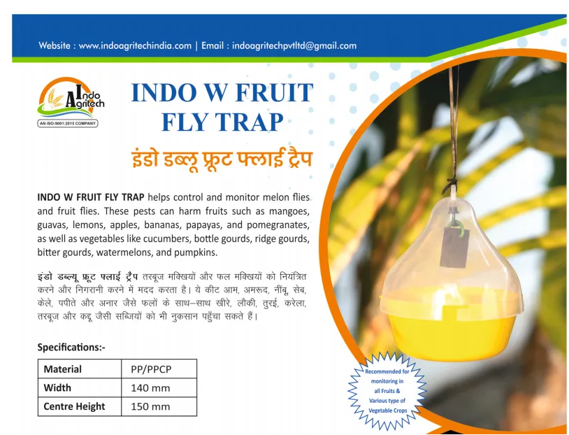 INDO W FRUIT FLY TRAP