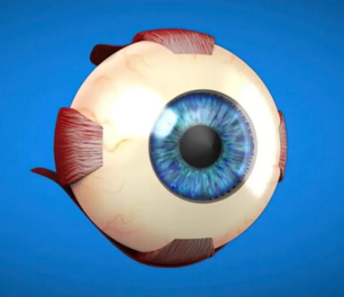 Retina Specialist in Agripada – Focused Care for Retinal Health