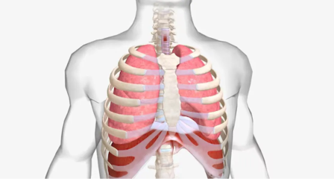 Thoracic chest surgery in Pune - care for complex chest conditions