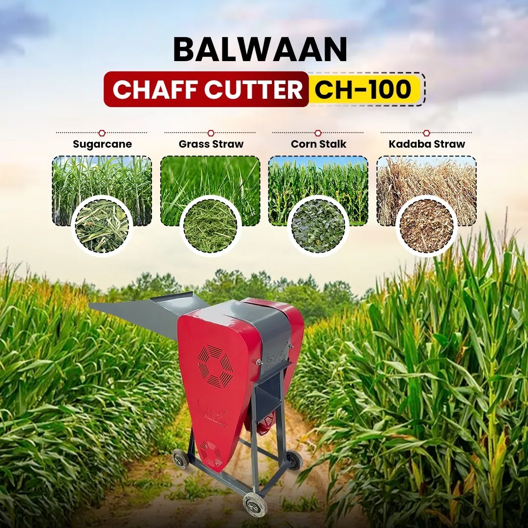 Chaff Cutter in Vadodara