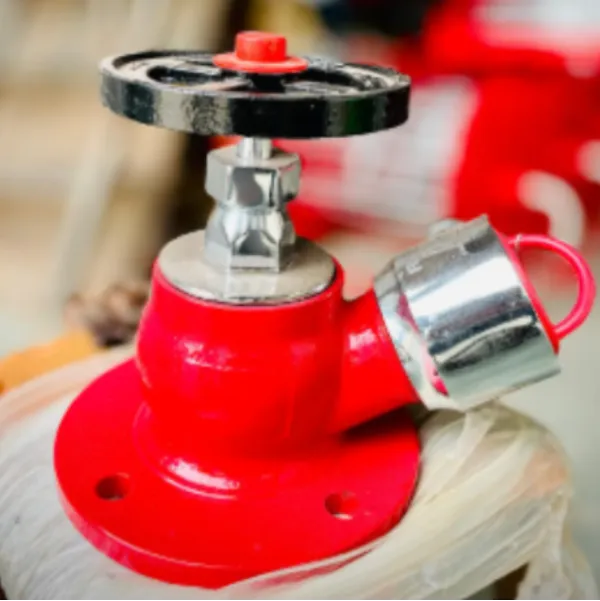Fire Hydrant Valve Unit in Gujarat Ensuring Reliable Water Control