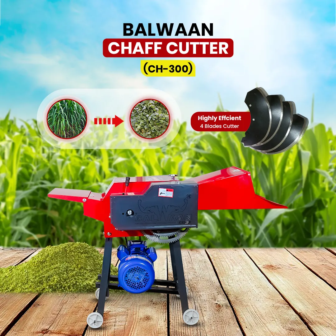 Chaff Cutter in Vadodara