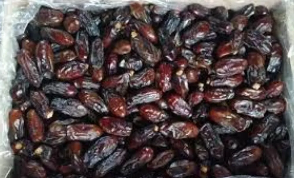 Dates Importer and Premium Saudi Dates Supplier in Mumbai