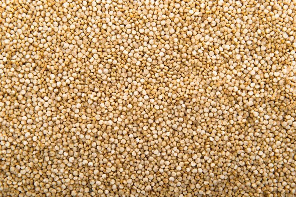 Millets Shop Near Me in Chennai – Everyday Grains for Balanced Eating