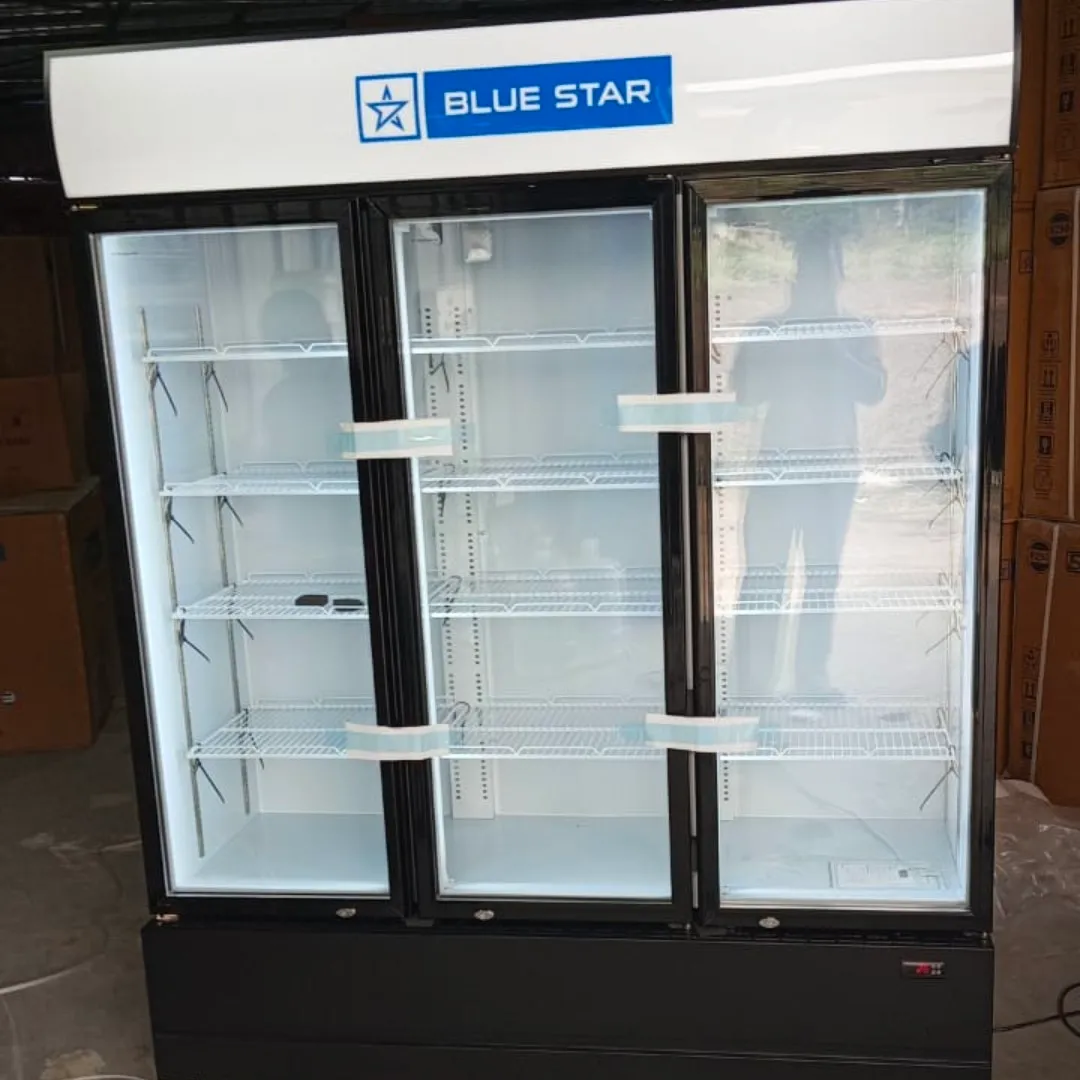 Blue Star Voltas Haier Elanpro Western Rockwell Visi Cooler Dealer In Palani