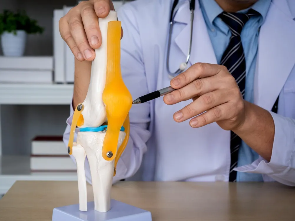 Revision Joint Replacement in North Bangalore | Advanced Solutions for Long-Term Joint Relief