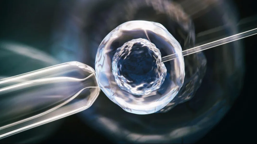 Laser hatching in Nashik for enhanced embryo implantation support