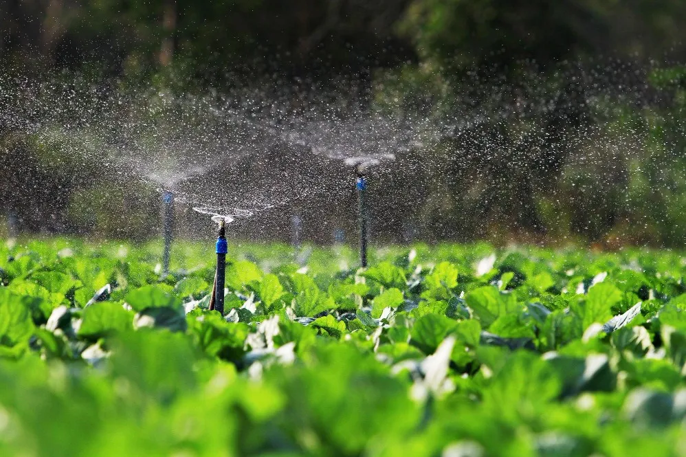 Sprinklers in Ghaziabad – Watering Crops Without Guesswork