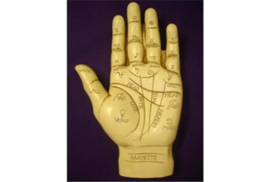 Hand Reading Palmistry Astrologer in Dadar for Life Patterns