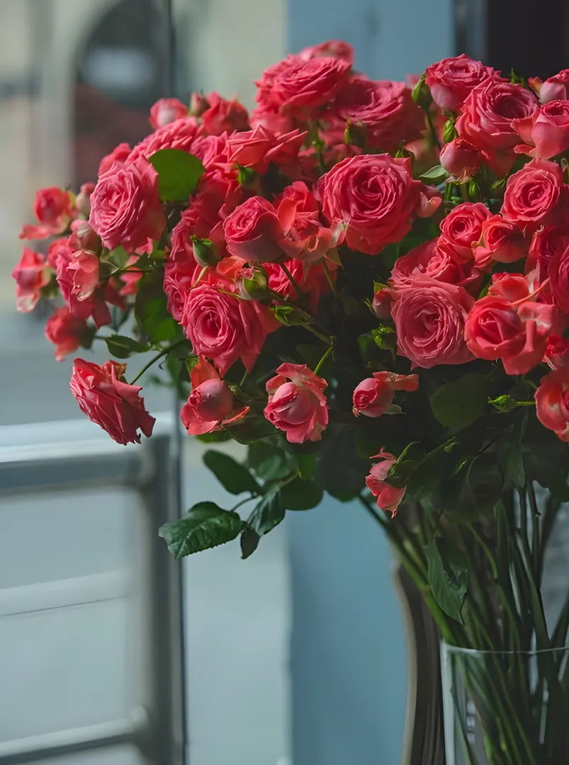 Rose Flowers in Bangalore That Defines Timeless Elegance