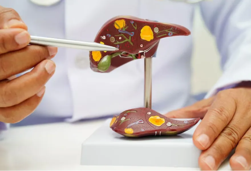 Post Liver Transplant Care in Mumbai