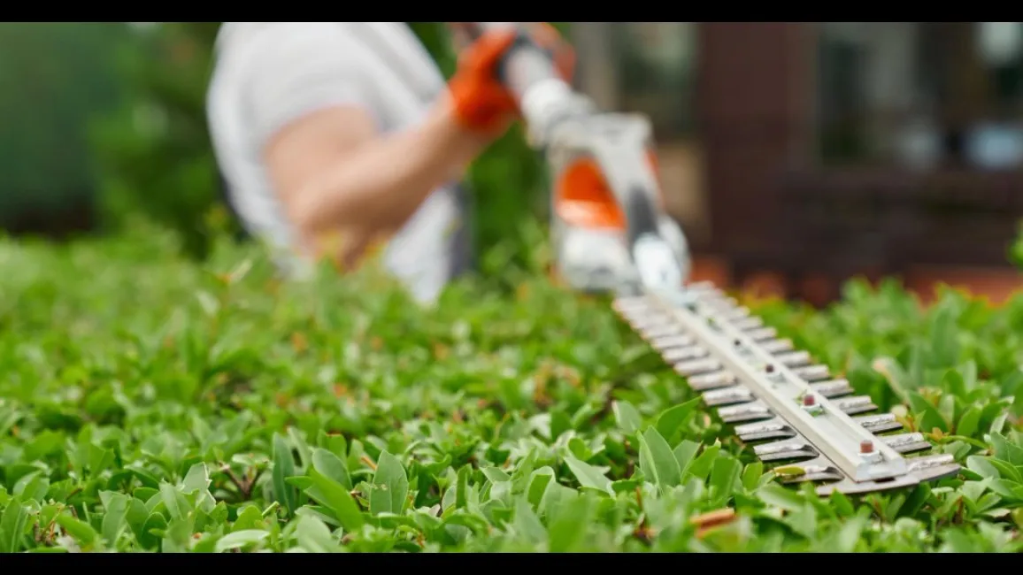 Hedge Trimmers in Ghaziabad – Clean Lines, Healthier Growth