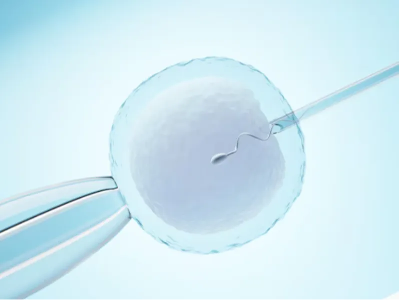 IVF Success Rates in Wadala | What They Mean and How to Read Them Right