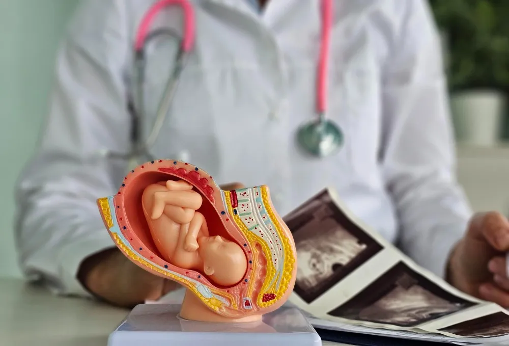 IUI and ICSI Procedures in Nashik – Choosing the Right Fertility Support