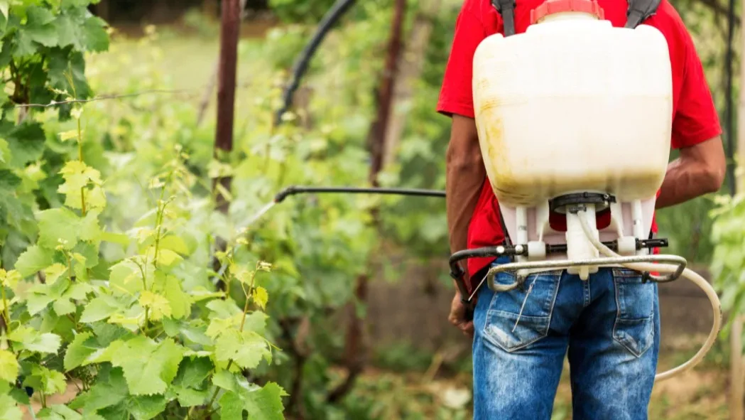 Power Sprayers in Ghaziabad – When Coverage and Control Matter
