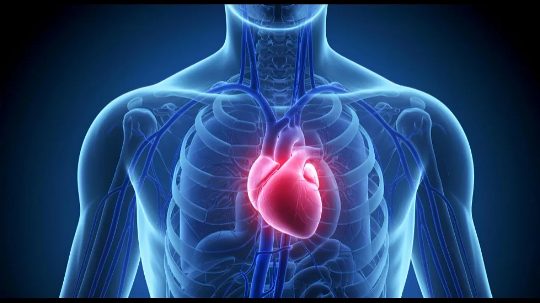 Cardiothoracic Surgeon in Pune – Expertise in Heart and Chest Surgery