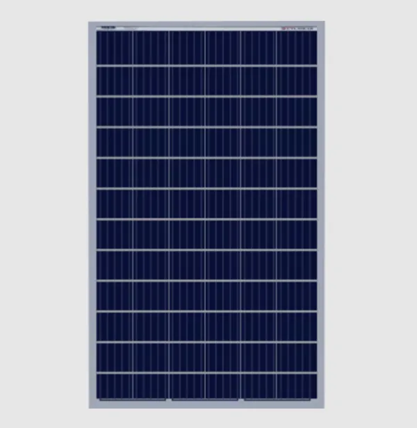 Solar Panel in Nagpur – Making Everyday Power a Little Smarter