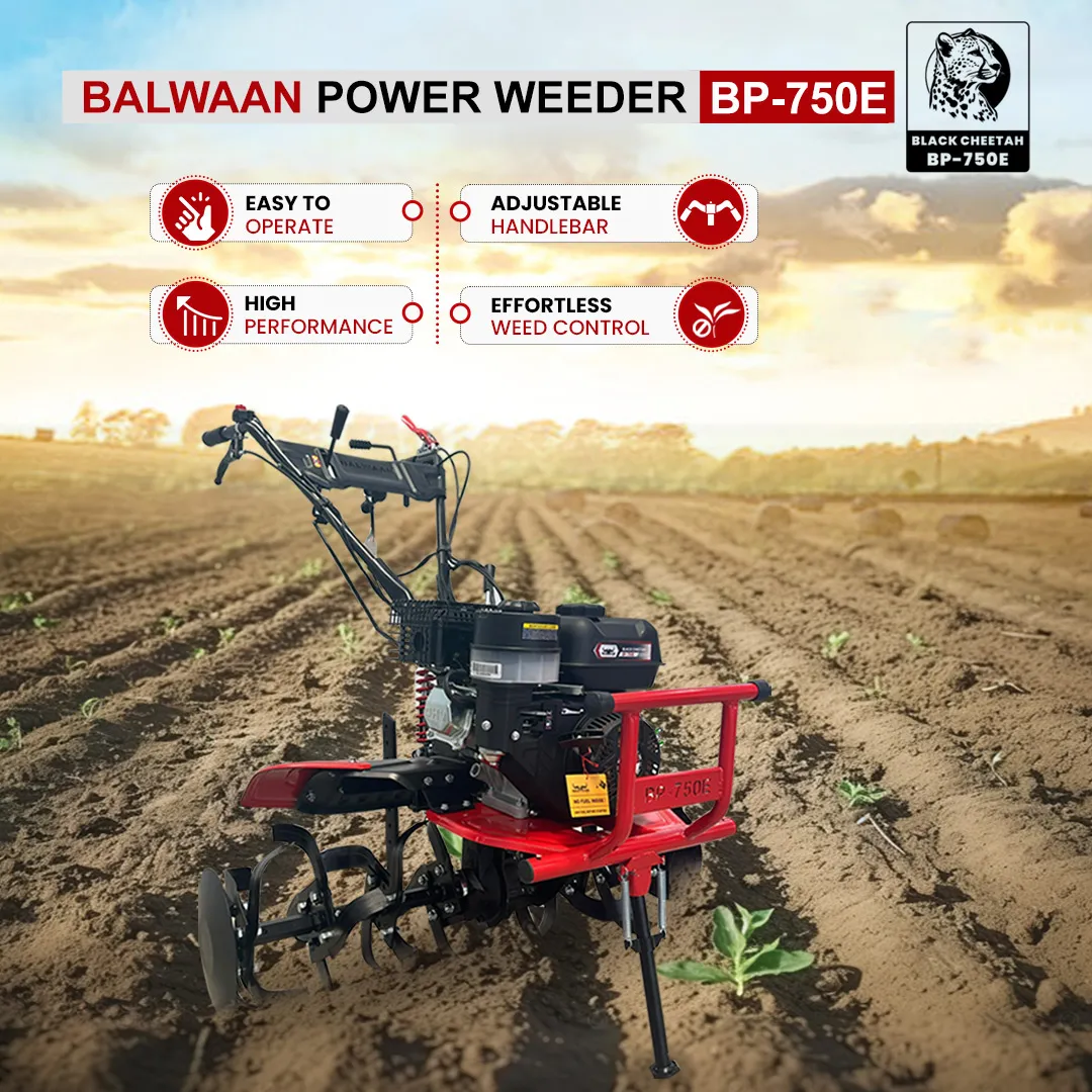 Power Weeder in Vadodara