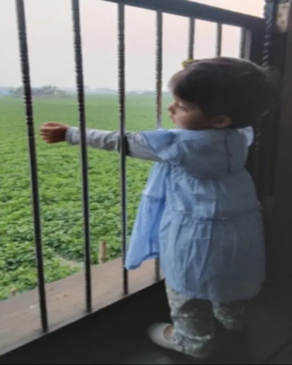 Child Safety Grill in Nagpur for Apartments and High Rise Living