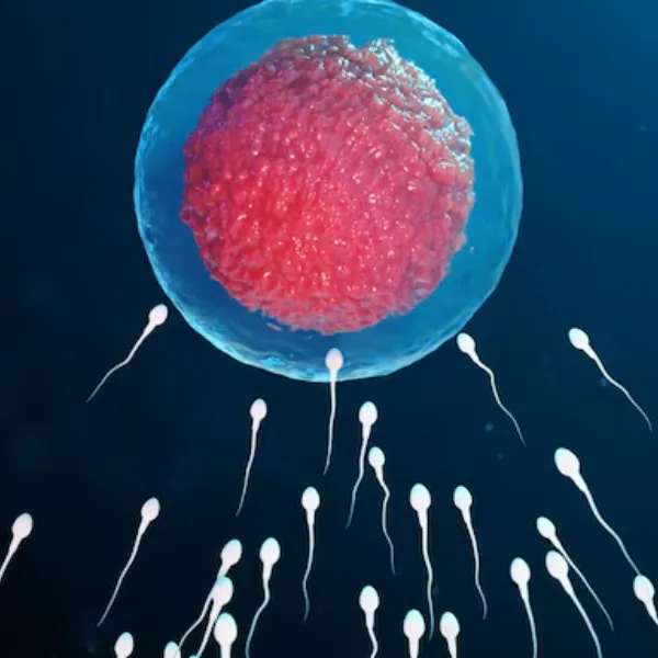 Donor Egg and Sperm Program in Nashik – Compassionate Paths to Parenthood