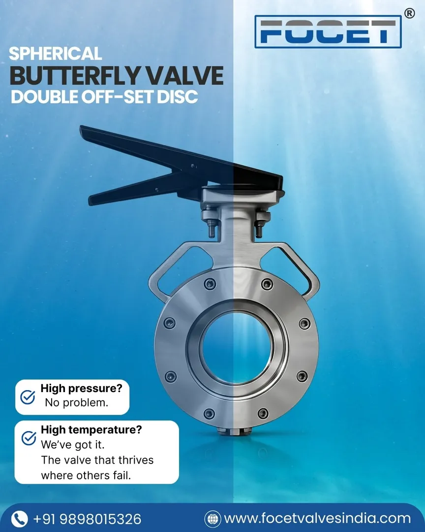 Spherical Butterfly Valve Manufacturer in India.