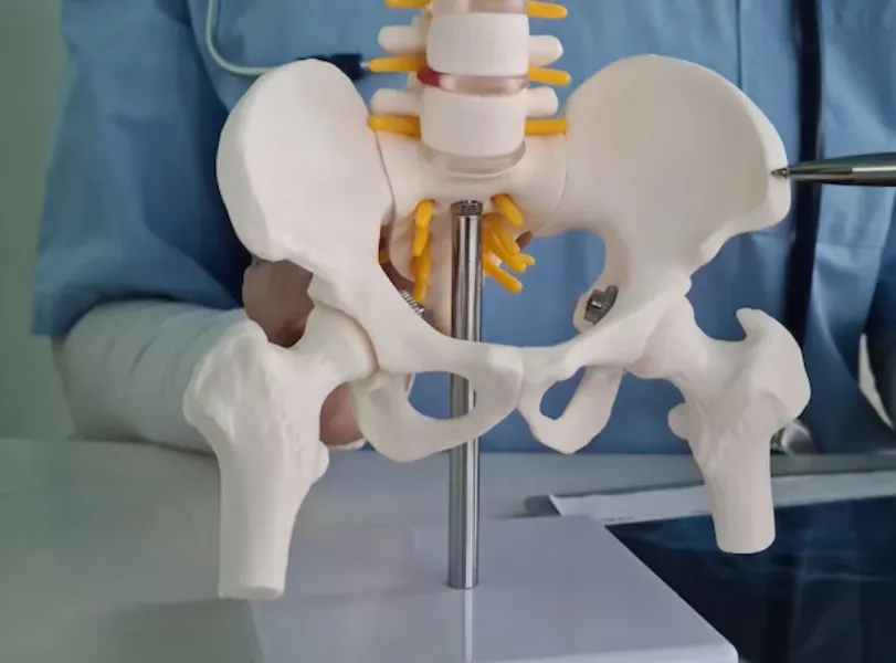 Hip Replacement in Nagpur – Restoring Comfort When Pain Limits Life