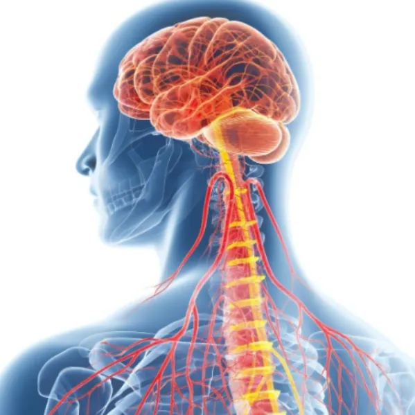 Brain and Spine Treatment Pune – Focused Care for Long-Term Relief