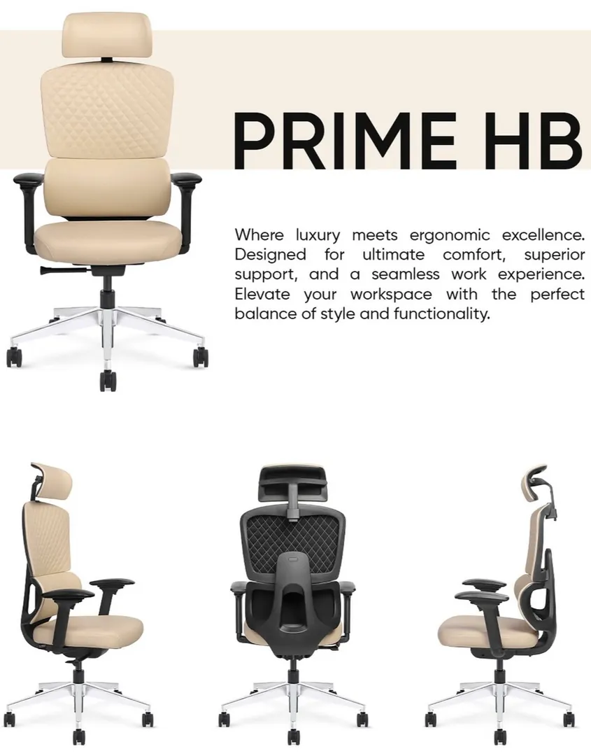 Office chairs in Delhi