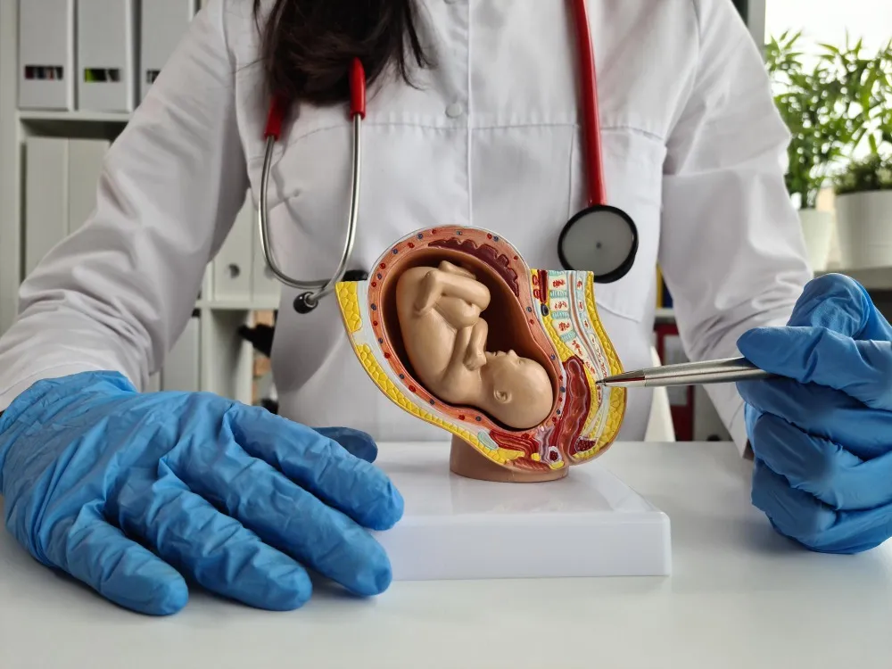 Painless Normal and Caesarean Delivery in Nashik – Supporting Safe and Comfortable Births