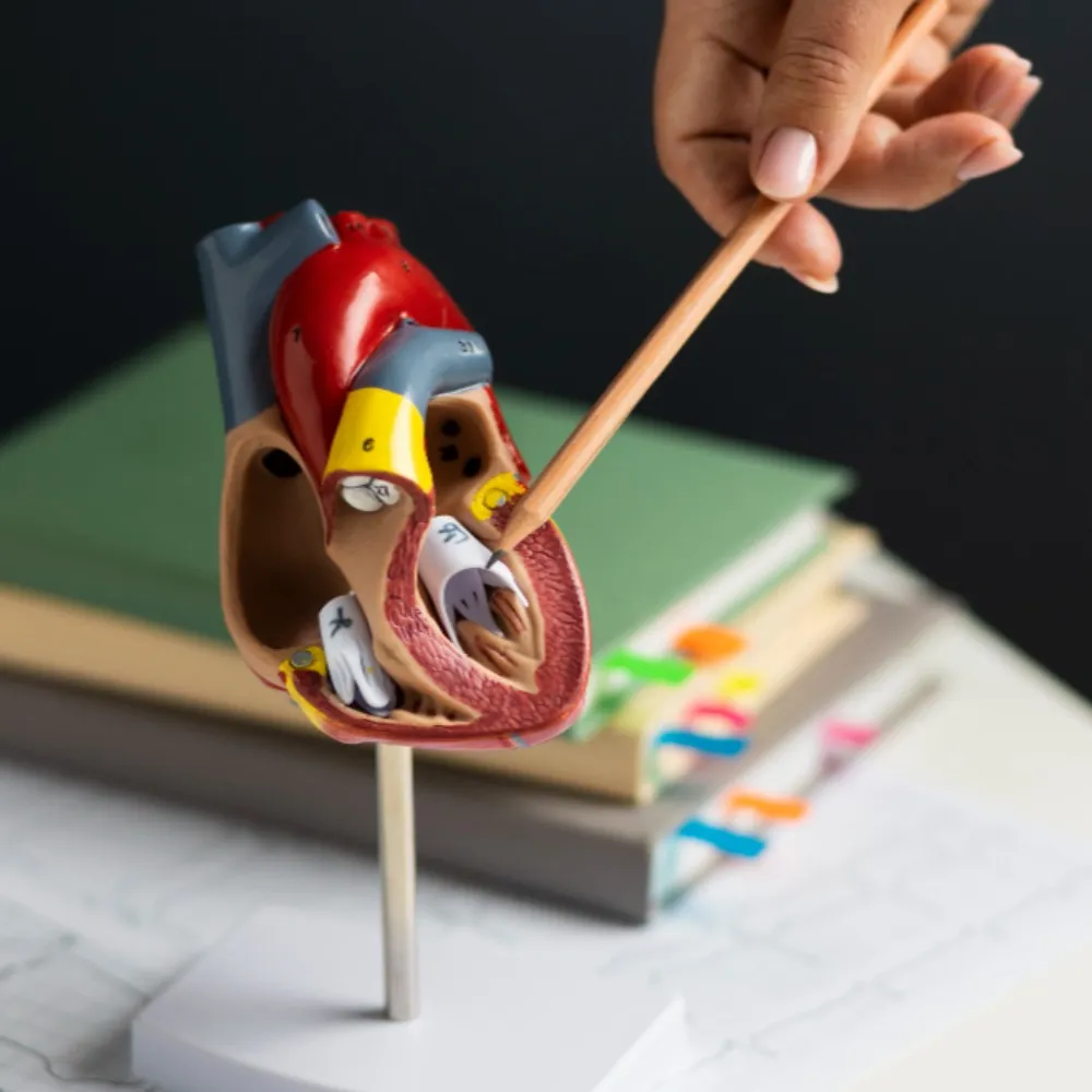Angioplasty and Interventional Cardiology in Pune