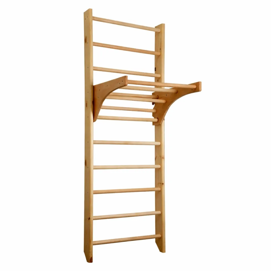 Wall-Mounted Exercise Ladder In UP