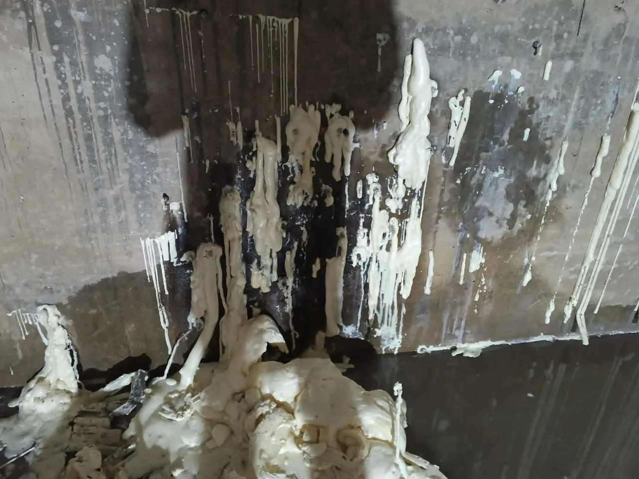 Dr fixit Waterproofing Contractor in Mumbai