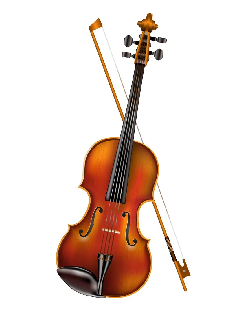 Violin Dealers in Bengaluru