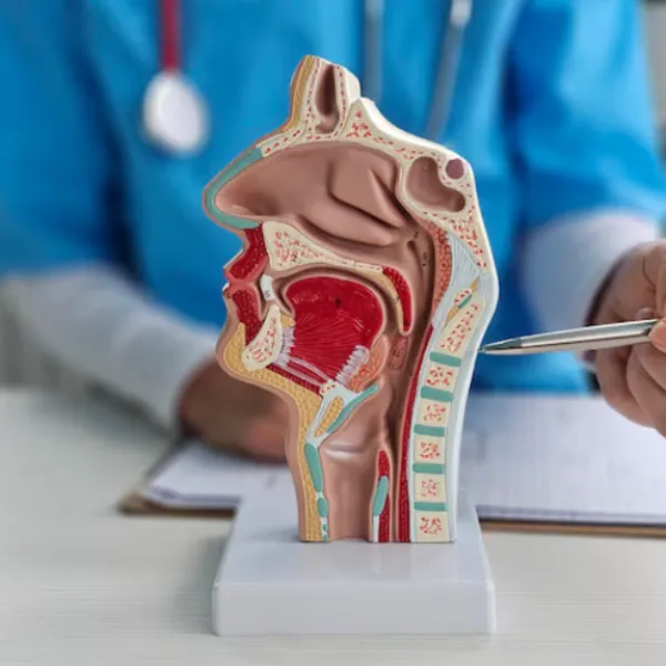 ENT Doctor in Pune for Complete Ear Nose and Throat Care