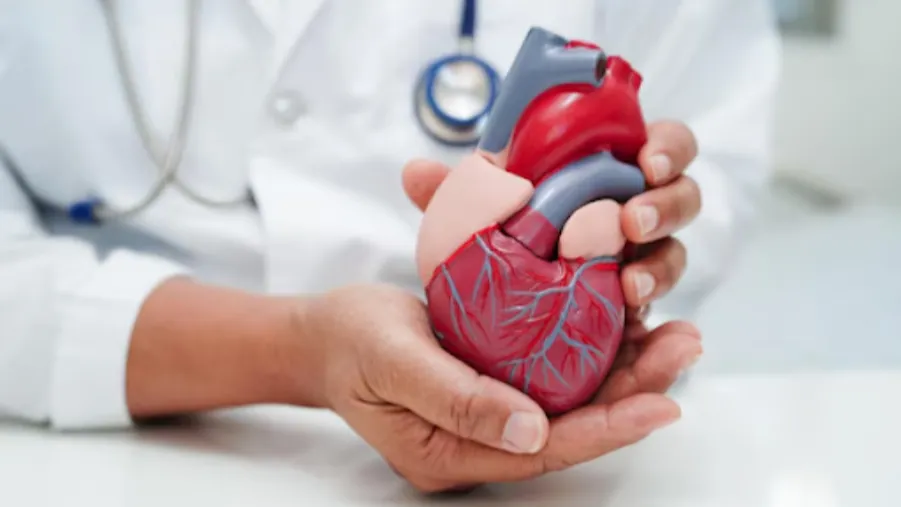 Heart Diseases Cardiologist in Pimpri-Chinchwad – Advanced Heart Care Solutions