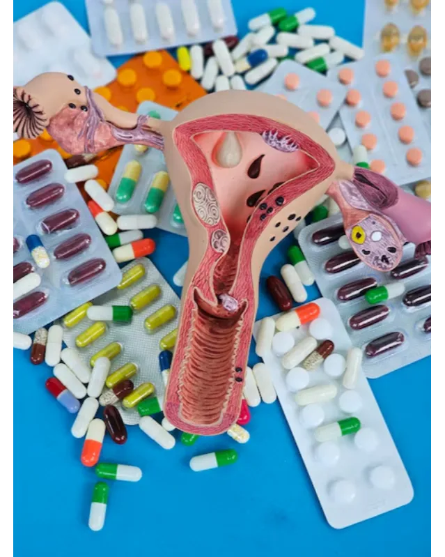 Gynae Products PCD Pharma Franchise in Chandigarh – Supporting Women’s Health Responsibly