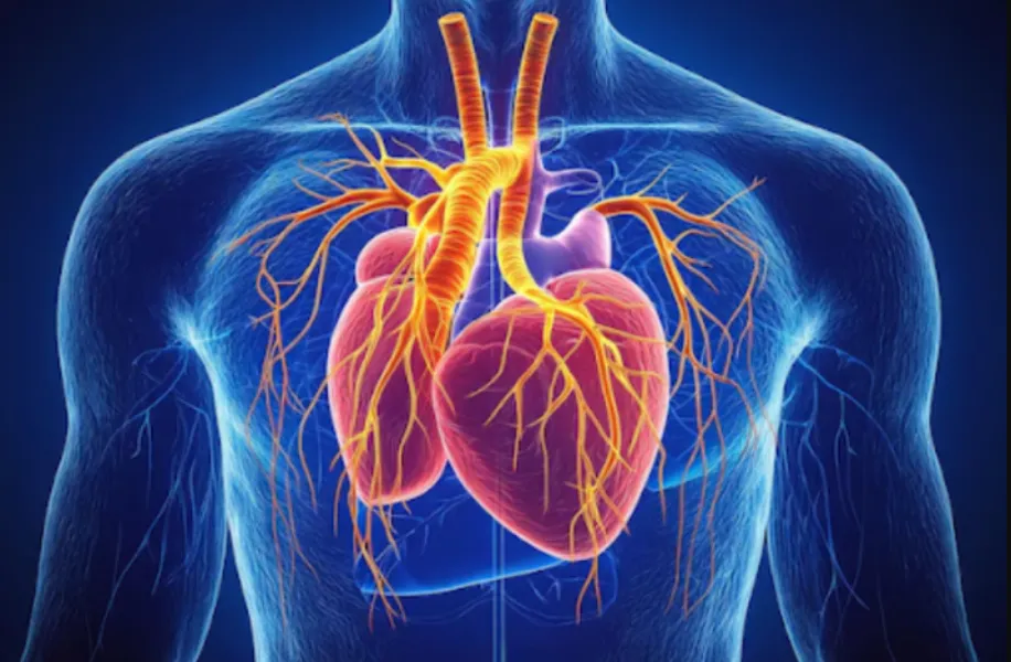 Cardio-Vascular Surgeon in Pune | Comprehensive Adult Cardiac and Vascular Solutions