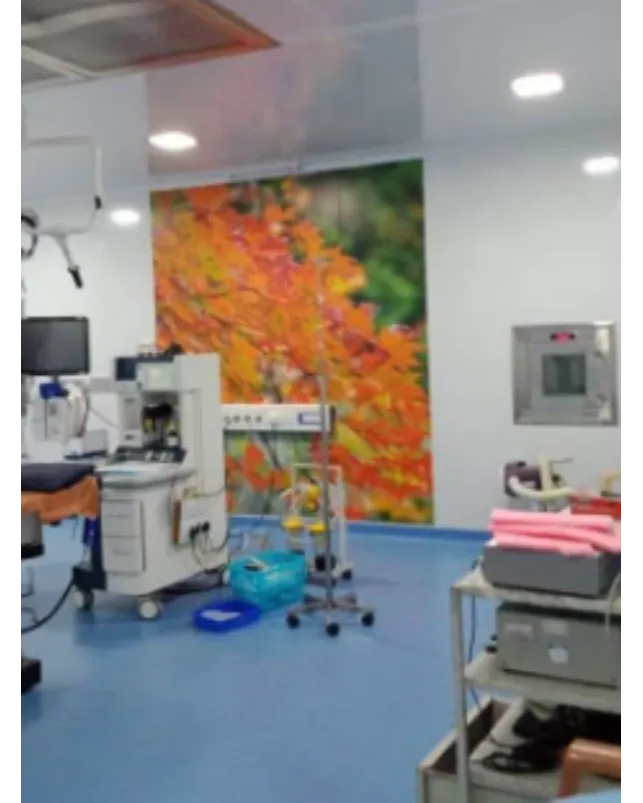 Modular IVF OT & IVF Lab – Supporting Delicate Procedures