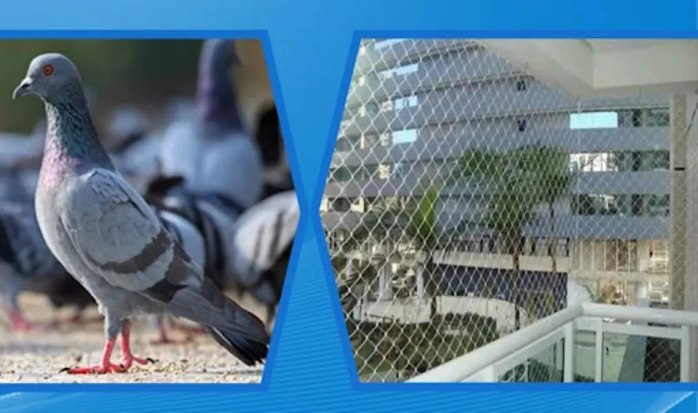 Pigeon Net Manufacturer in Gurgaon – Balcony Protection That Actually Works