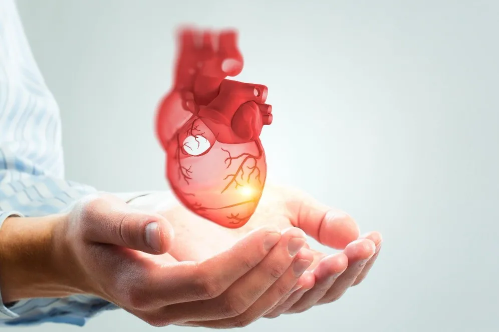 Best Cardiologist in Bangalore for Advanced Heart Care