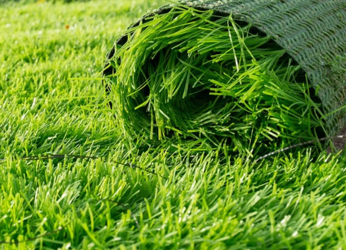 Best Artificial Grass for Garden Manufacturer, Trader, Dealer, Supplier We Panipat Carpets is the le...