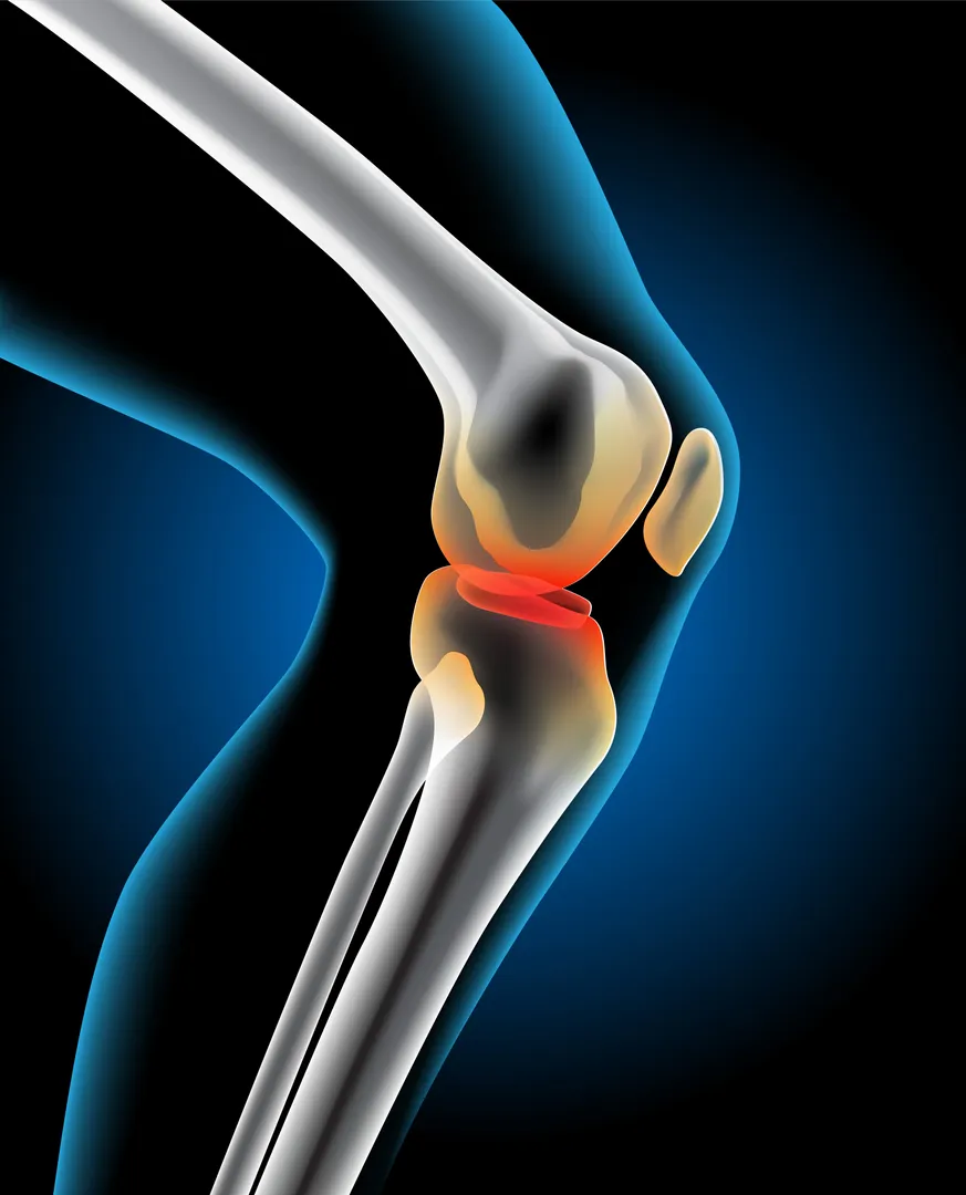 Top Orthopedic Clinic in South Delhi – Where Treatment Feels Personal and Clear
