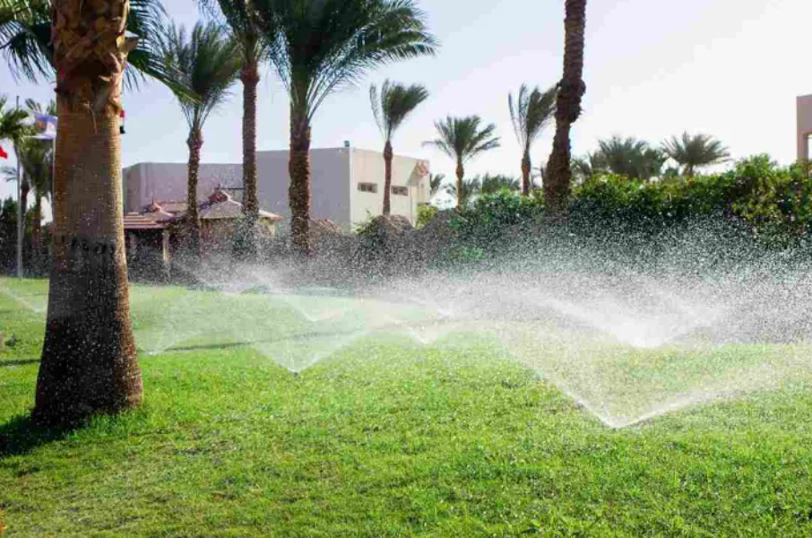 Landscaping Projects in Nagpur Creating Functional and Aesthetic Green Spaces